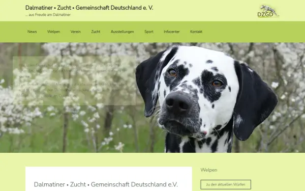 www.dalmatiner-deutschland.de