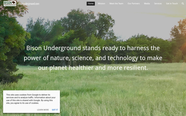 www.bisonunderground.com