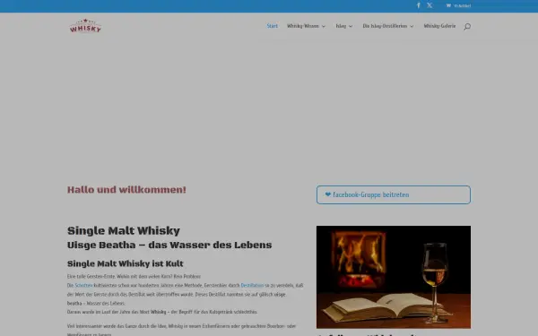 singlemalt-whiskys.de