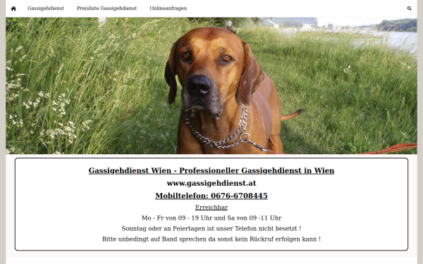 gassigehdienst.at