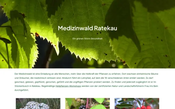 medizinwald.de