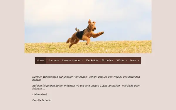 airedale-terrier-von-teddys-ophelia.de