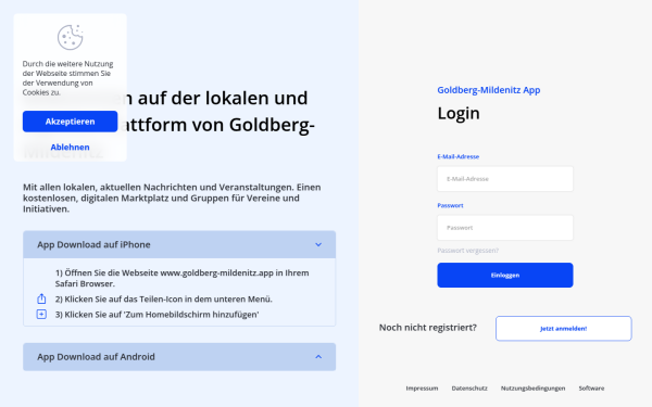 goldberg-mildenitz.app