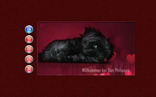 dog-philip.de