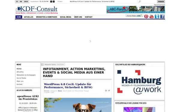 kdf-consult.de
