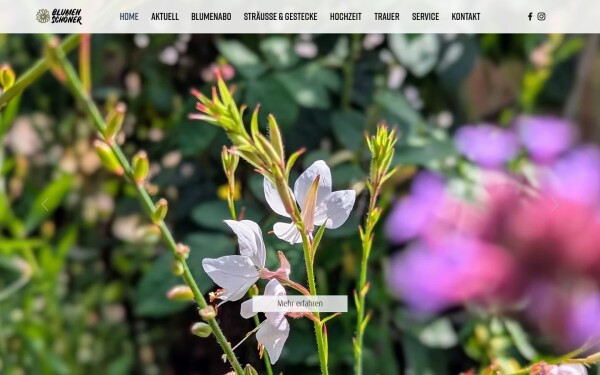 www.blumen-schoener.de