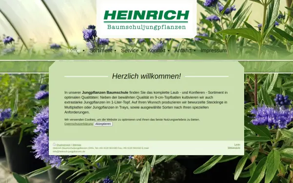 www.heinrich-jungpflanzen.de