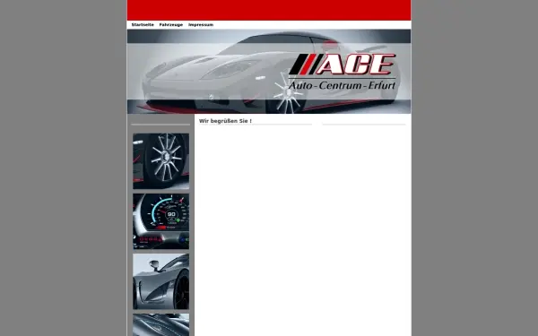 ace-erfurt.de