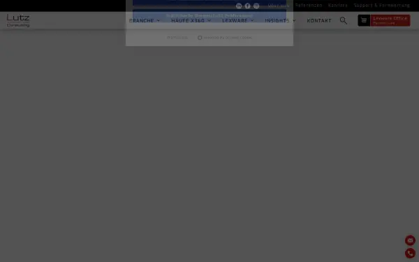 lutz-consulting.de