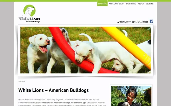 www.american-bulldogs-zucht.de