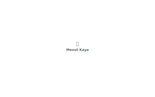 mesutkaya.de