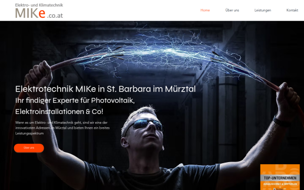 www.mike.co.at