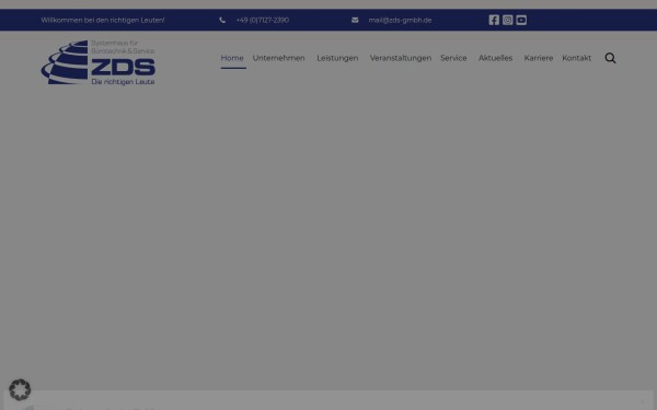 www.zds-gmbh.de