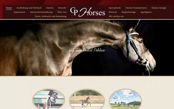 www.gp-horses.com
