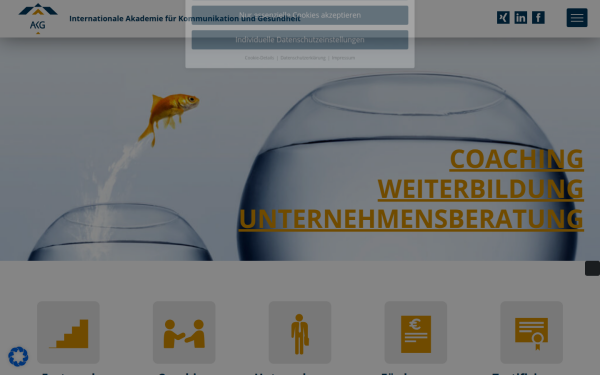 akgberlin.de