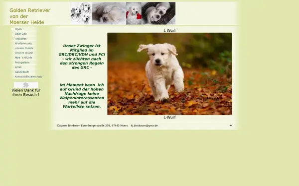 golden-retriever-von-der-moerser-heide.de
