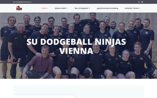 dodgeballninjas.at