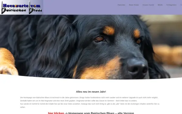 www.baiblues.de