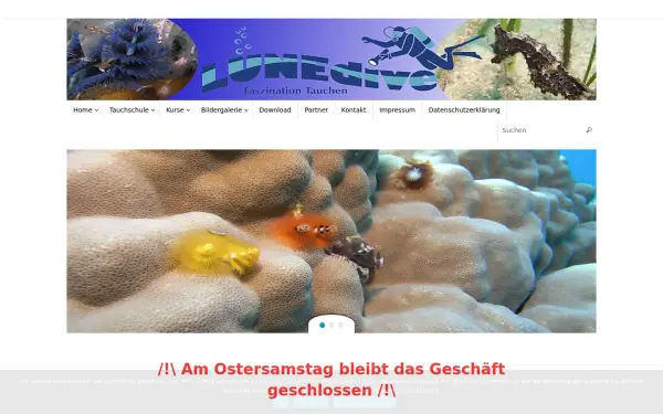www.luenedive.de