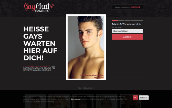 gaychathamburg.de