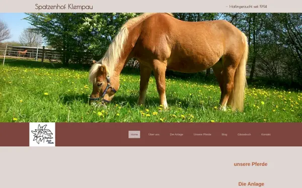 hans-joerg-ehmcke.de