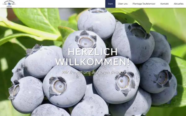 heidelbeeren-flegel.de