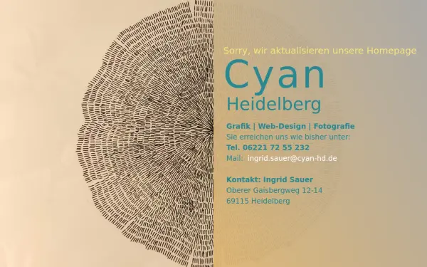 cyan-heidelberg.de