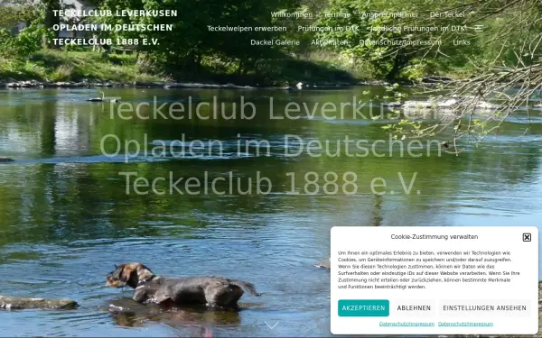 dackelclub-leverkusen.de