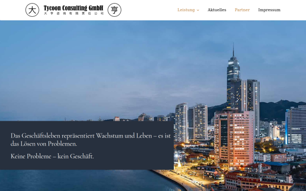 tycoon-consulting.net