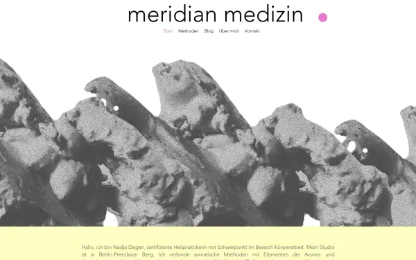 www.meridianmedizin.de