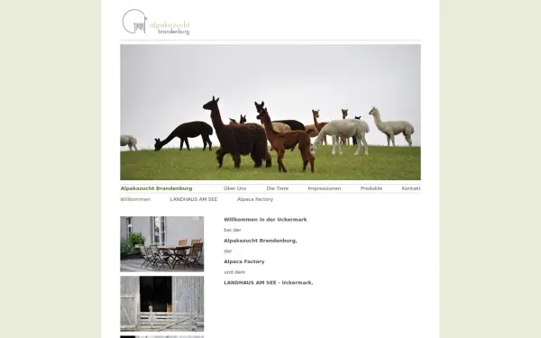 alpakazucht-brandenburg.de