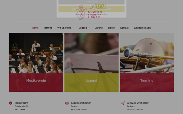 www.mv-flein.de