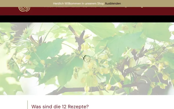 12-rezepte.de