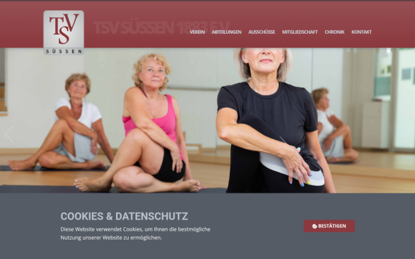 tsv-suessen.de