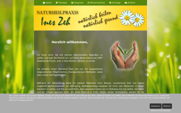 naturheilpraxis-zeh.de