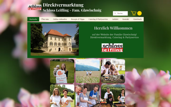 www.glawischnig.at
