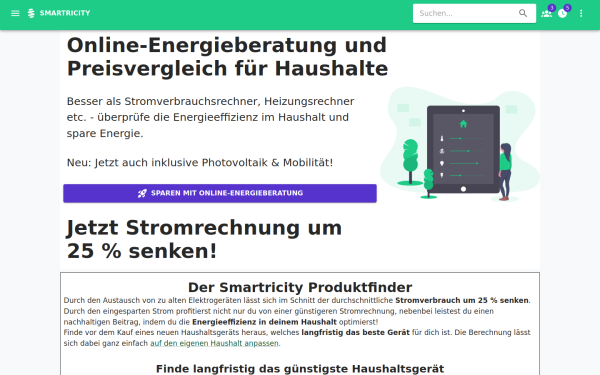 www.smartricity.de