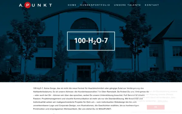 www.a-punkt.de