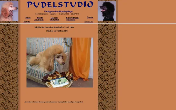 pudelstudio.de