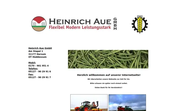 heinrichaue.de