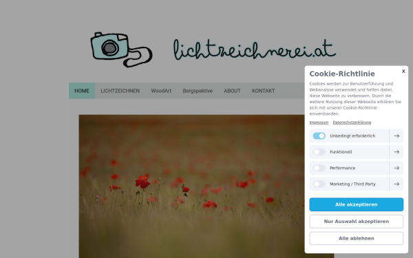 www.lichtzeichnerei.at