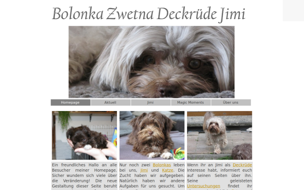 magic-bolonka.de