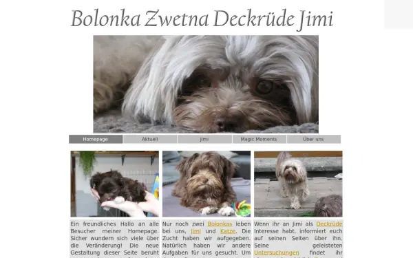magic-bolonka.de
