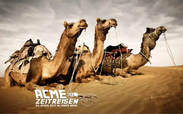 acme-zeitreisen.de