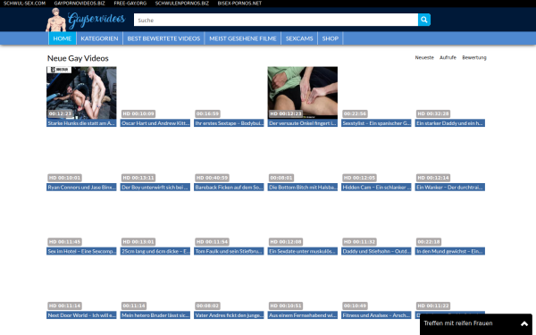 gaysexvideos.co