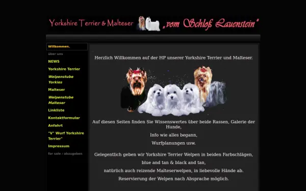 www.malteser-yorkies-lauenstein.de