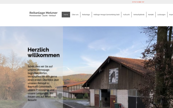 www.metzner-pferde.de