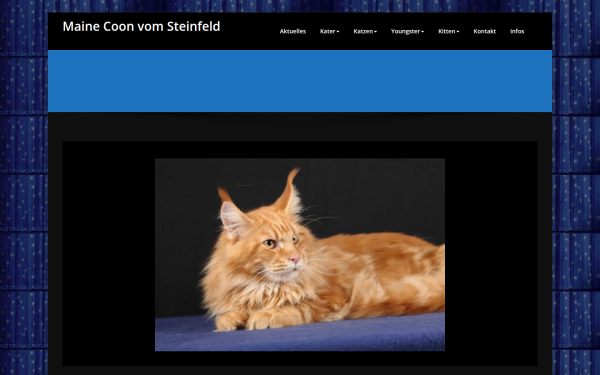mainecoon-vom-steinfeld.de