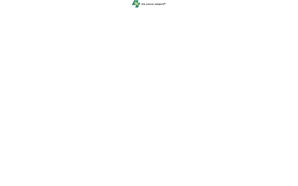 addipharma.de