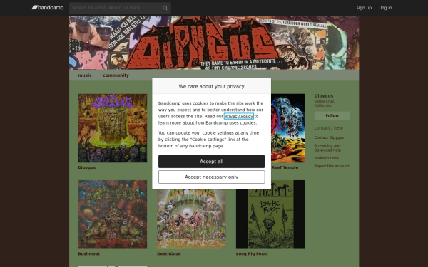 dipygus.bandcamp.com